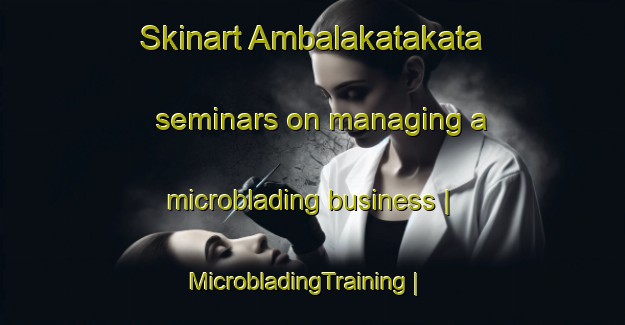 Skinart Ambalakatakata seminars on managing a microblading business | MicrobladingTraining | MicrobladingClasses | SkinartTraining-Madagascar